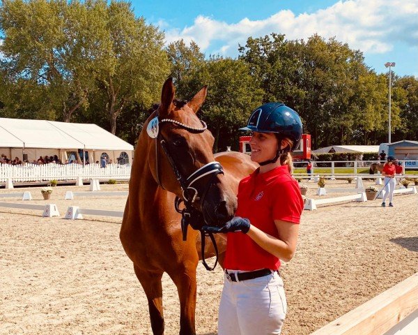 broodmare Die immer Lacht 9 (German Riding Pony, 2021, from D-Gold AT NRW)