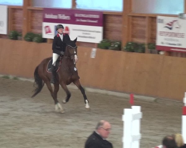 Springturnier Xanten - Reitanlage Miss 2021