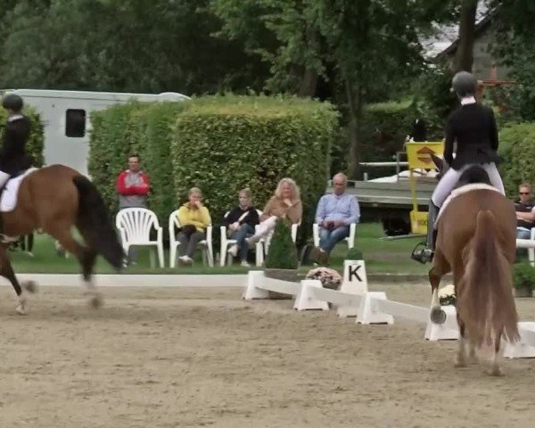 Reitturnier Münster-Handorf 2024