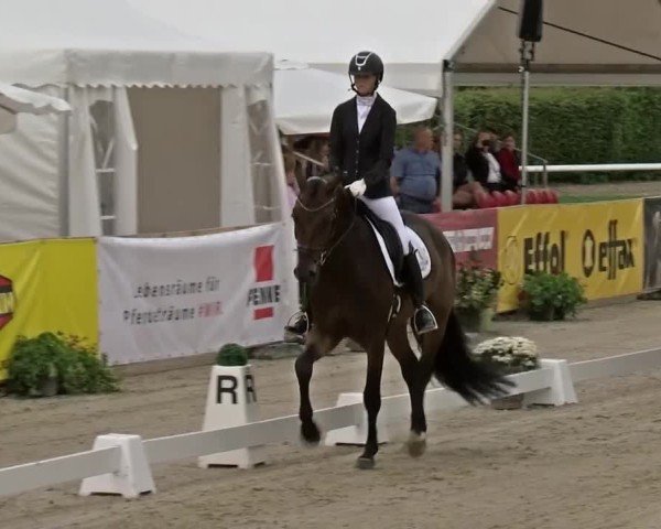 Reitturnier Münster-Handorf | Westfalen-Woche 2024