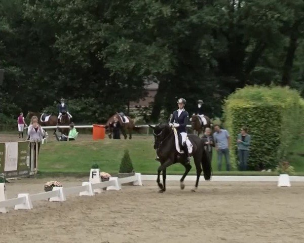 Reitturnier Münster-Handorf | Westfalen-Woche 2024