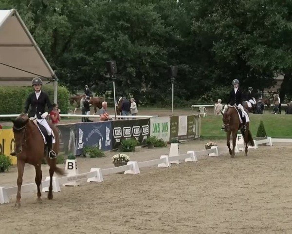 Reitturnier Münster-Handorf | Westfalen-Woche 2024