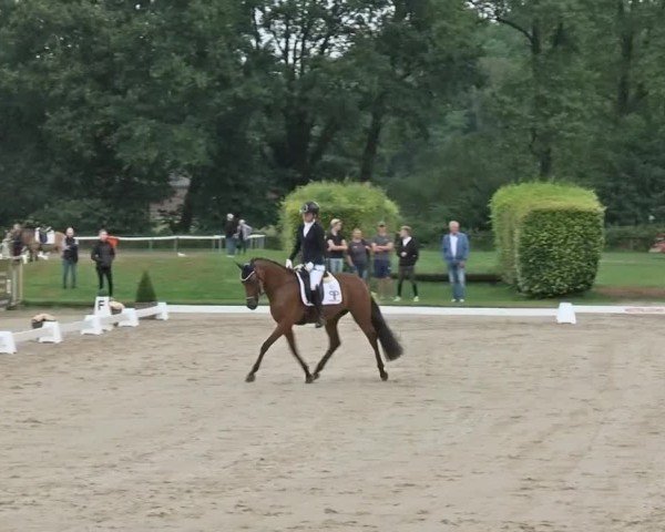 Reitturnier Münster-Handorf | Westfalen-Woche 2024