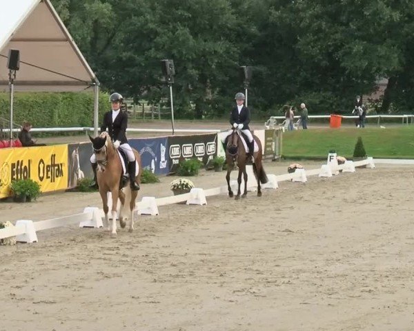 Reitturnier Münster-Handorf 2024