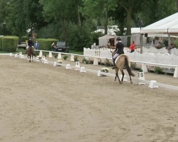 Reitturnier Münster-Handorf | Westfalen-Woche 2024