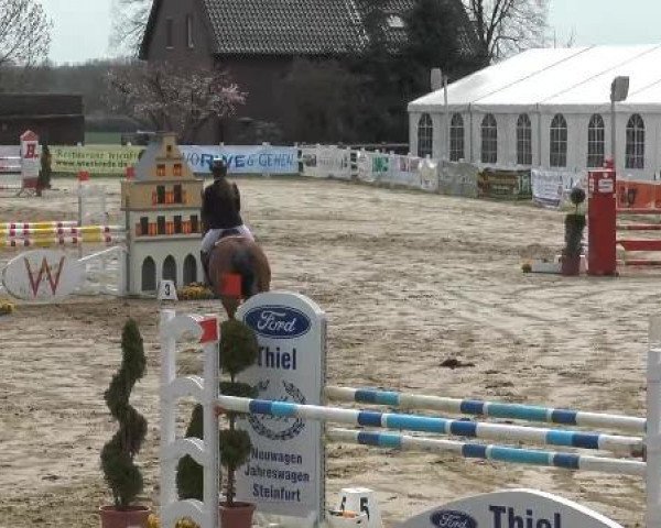 Lenklarer Reitertage auf der Reitsportanlage Gripshöver 2013