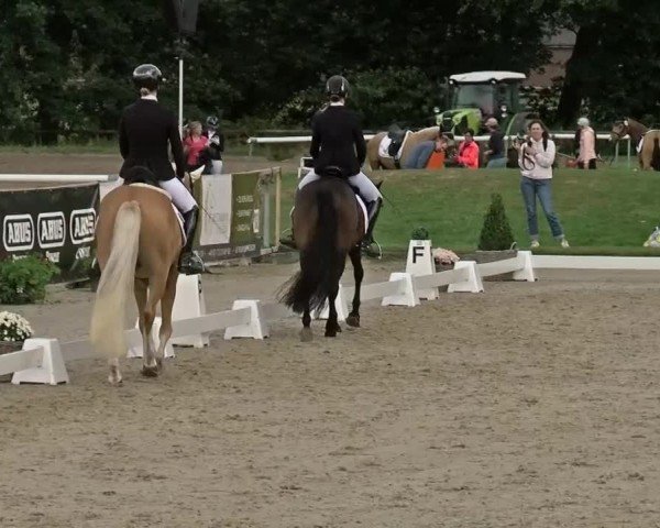 Reitturnier Münster-Handorf | Westfalen-Woche 2024