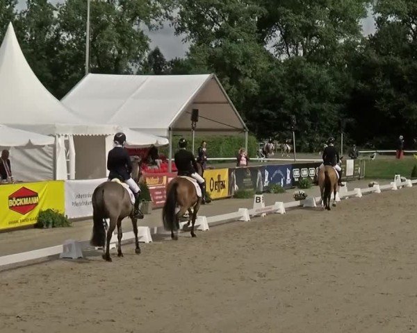 Reitturnier Münster-Handorf | Westfalen-Woche 2024