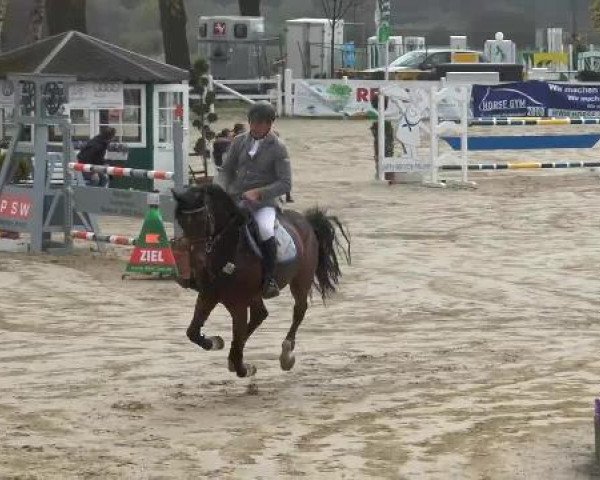 Lenklarer Reitertage auf der Reitsportanlage Gripshöver 2013