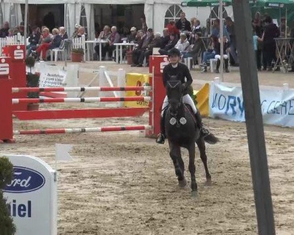 Lenklarer Reitertage auf der Reitsportanlage Gripshöver 2013