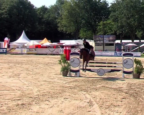Reitturnier Münster-Handorf | Westfalen-Woche 2024