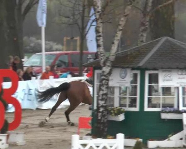 Reitturnier Werne-Lenklar 2013