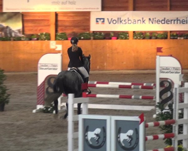 Springturnier Xanten - Reitanlage Miss 2021