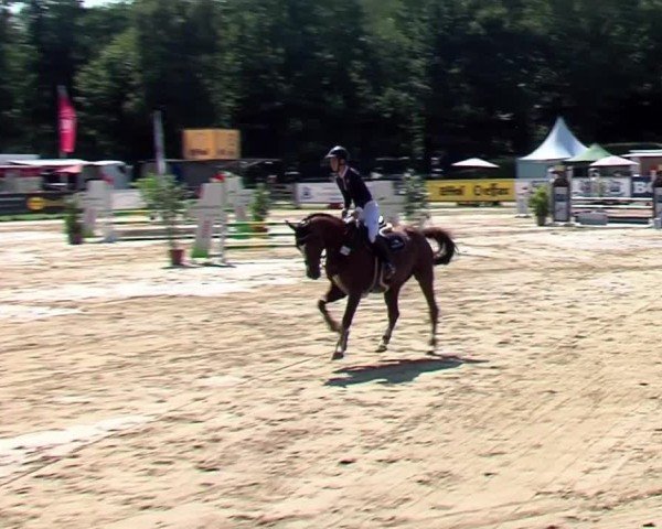 Reitturnier Münster-Handorf | Westfalen-Woche 2024