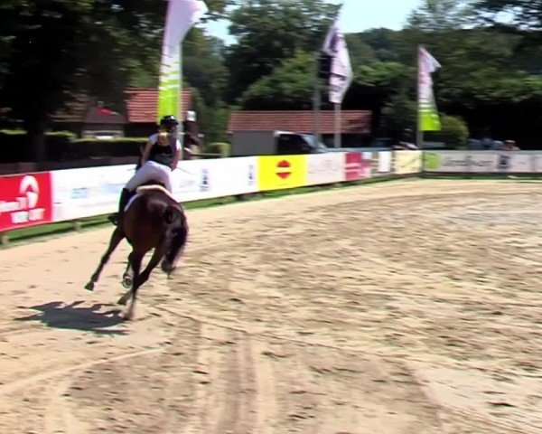 Reitturnier Münster-Handorf | Westfalen-Woche 2024