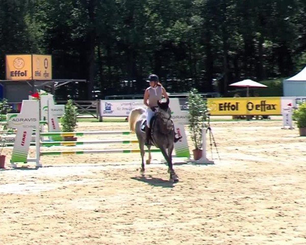 Reitturnier Münster-Handorf 2024