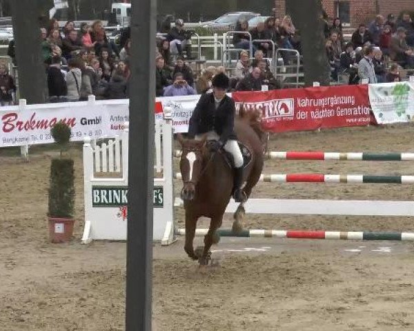 Reitturnier Werne-Lenklar 2013