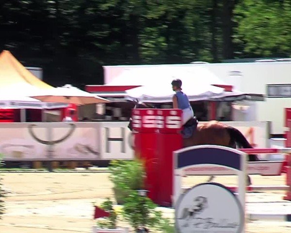 Reitturnier Münster-Handorf | Westfalen-Woche 2024