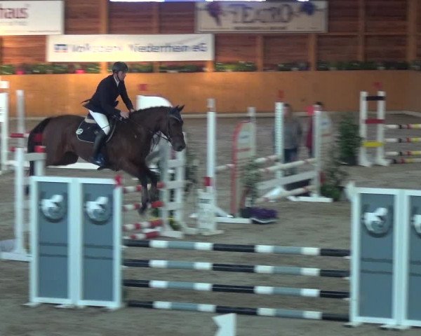 Springturnier Xanten - Reitanlage Miss 2021