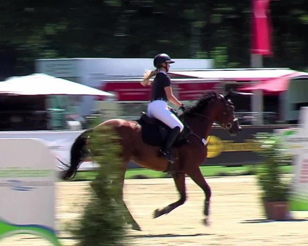 Reitturnier Münster-Handorf | Westfalen-Woche 2024