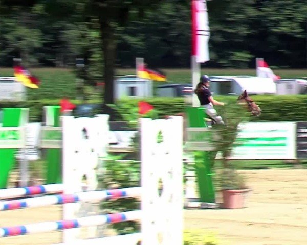 Reitturnier Münster-Handorf 2024