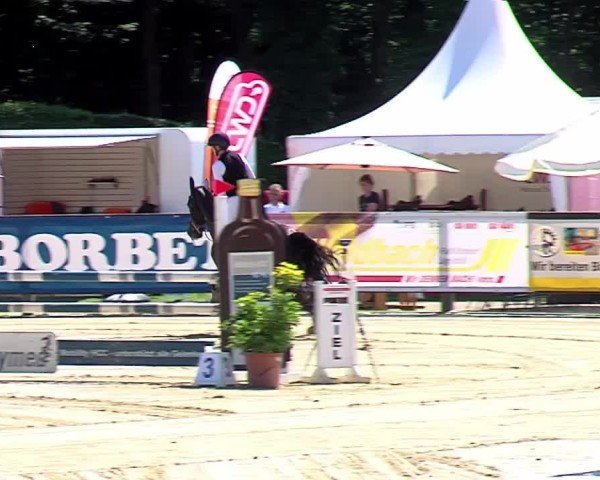 Reitturnier Münster-Handorf 2024