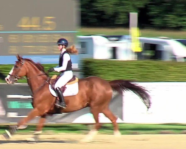 Reitturnier Münster-Handorf | Westfalen-Woche 2024