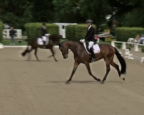 Reitturnier Münster-Handorf | Westfalen-Woche 2024