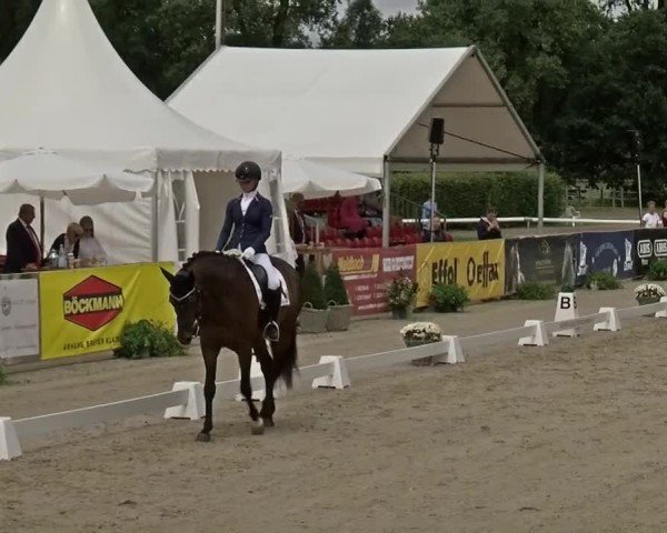 Reitturnier Münster-Handorf 2024