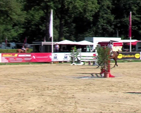 Reitturnier Münster-Handorf | Westfalen-Woche 2024