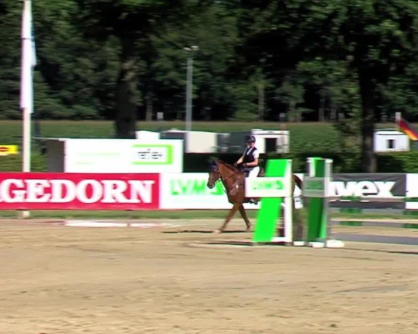 Reitturnier Münster-Handorf | Westfalen-Woche 2024