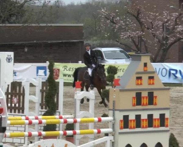 Reitturnier Werne-Lenklar 2013