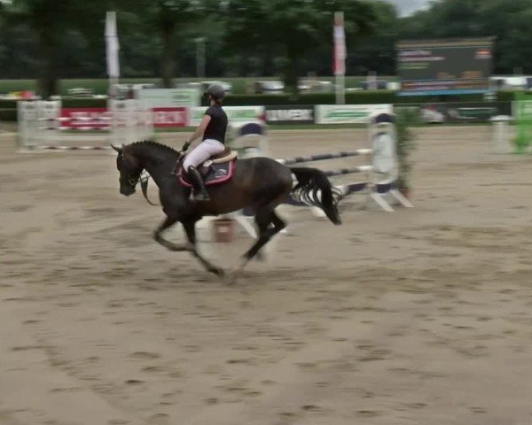 Reitturnier Münster-Handorf 2024