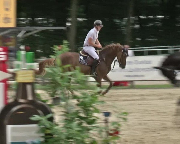 Reitturnier Münster-Handorf | Westfalen-Woche 2024