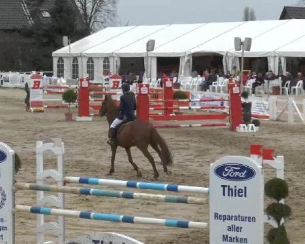 Lenklarer Reitertage auf der Reitsportanlage Gripshöver 2013