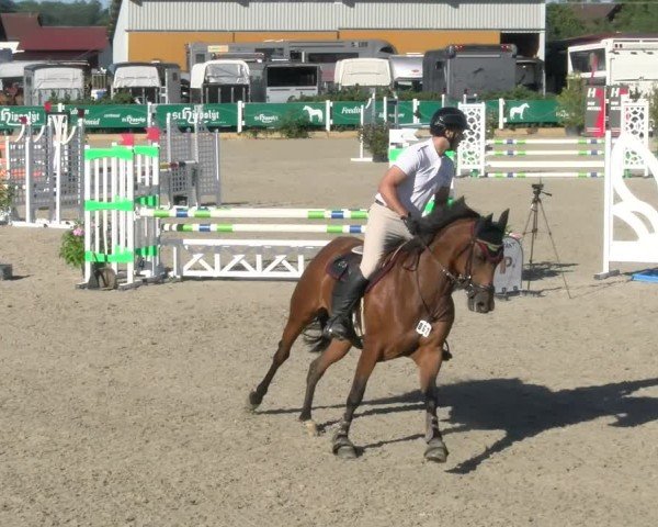 Reitturnier Sauldorf-Boll 2024