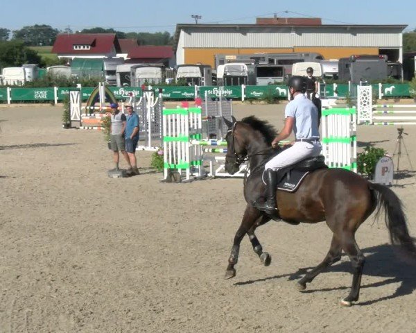 Reitturnier Sauldorf-Boll 2024