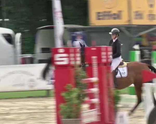 Reitturnier Münster-Handorf 2024