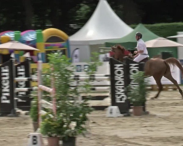 Reitturnier Münster-Handorf | Westfalen-Woche 2024