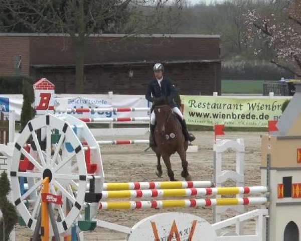 Lenklarer Reitertage auf der Reitsportanlage Gripshöver 2013