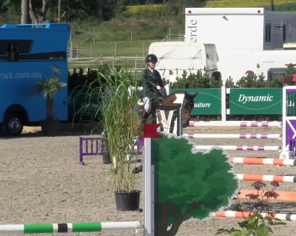 Reitturnier Sauldorf-Boll 2024