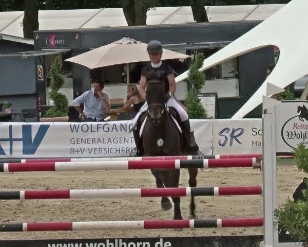 Reitturnier Münster-Handorf | Westfalen-Woche 2024