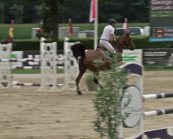 Reitturnier Münster-Handorf | Westfalen-Woche 2024