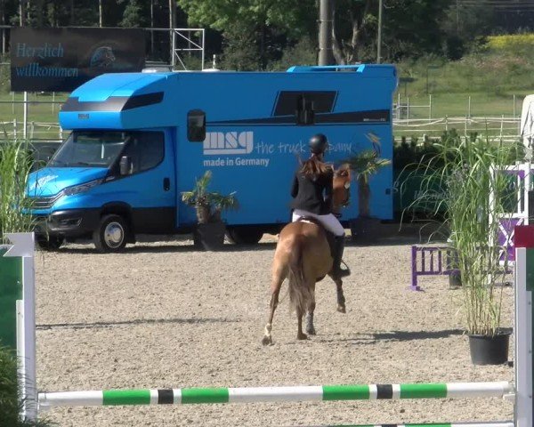 Reitturnier Sauldorf-Boll 2024