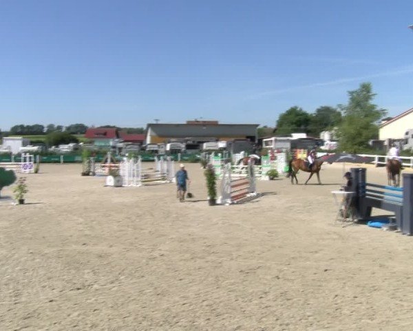 Reitturnier Sauldorf-Boll 2024