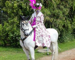 dressage horse Carlos Carlitto (unknown, 2012)