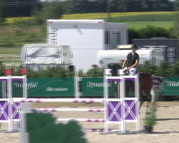 Reitturnier Sauldorf-Boll 2024