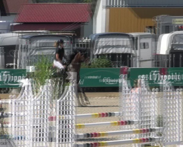 Reitturnier Sauldorf-Boll 2024