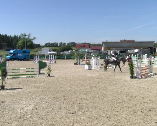 Reitturnier Sauldorf-Boll 2024