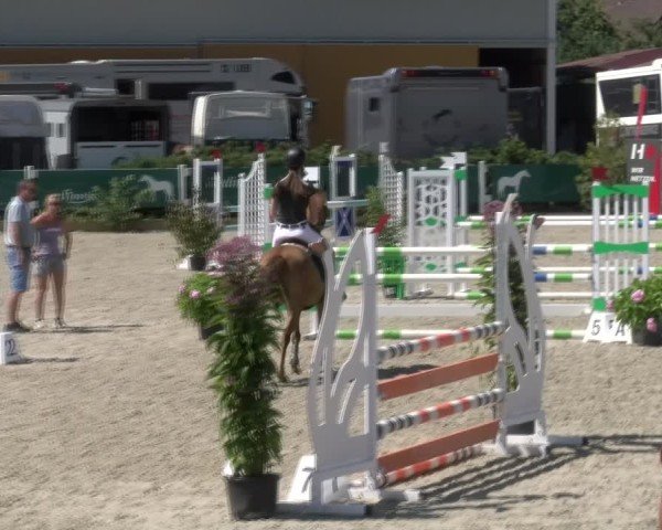 Reitturnier Sauldorf-Boll 2024